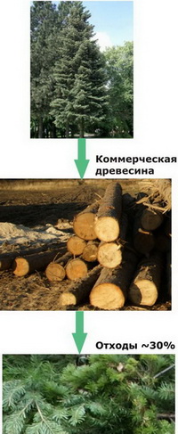 agr_3